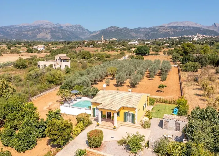 Buger - 40077 Mallorca